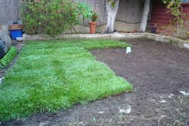 We didn't realize that our purchase contract. How To Lay Sod Grass In Time For Spring