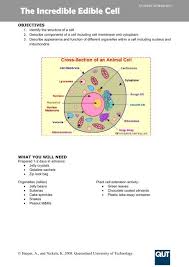 Student Worksheet The Incredible Edible Cell Qut
