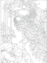 Their colorful feather, sounds and funny antics, fascinates them to no end. Peacock Coloring Book Pages Peacock Is A Bird Of Heaven It Is Famous For The Beauty Of Its Fur Esp Coloring Books Peacock Coloring Pages Bird Coloring Pages