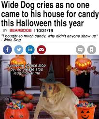 Wide Dog Cries As No One Came To His House For Candy This Halloween Wide Dog Know Your Meme