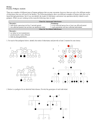 Maybe you would like to learn more about one of these? E Bio Worksheet Pedigree Analysis In Genetics Nidecmege