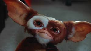 Image result for gizmo
