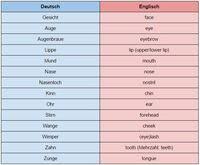 Englischen vokabeln englisch arbeitsblätter klasse 5 zum ausdrucken. Der Korper Im Englischen Vokabelliste