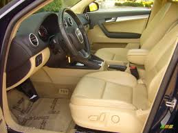 Image result for Dark Beige 2006 A3