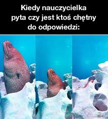 Szef resortu nauki pytany w pr24 o powrót dzieci do szkół od września, przekazał, że ministerstwo przygotowuje się na pełny powrót do szkoły. Najlepsze Memy O Szkole Internauci Sa Bezlitosni Usmiejecie Sie Do Lez Sprawdz Memy O Szkole 19 03 2021 Dziennik Zachodni