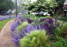 Thomas Rainer Interpreting Nature Garten Pflanzen Garten Bepflanzen Garten