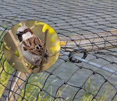 Economisez avec notre option de livraison gratuite. Filet Anti Oiseaux Anti Moineaux