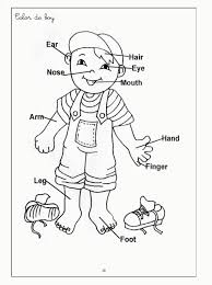 Learning about the human brain is a fascinating area of study for students of all ages. Body Parts For Kids Coloring Pages Coloring Home