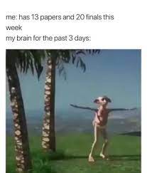 Me Has 13 Papers And 20 Finals This Week My Brain For The Past 3 Days