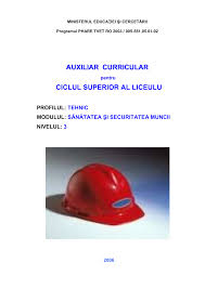 Securitatea si sanatatea in munca. Sanatatea Si Securitatea Muncii V Maniga