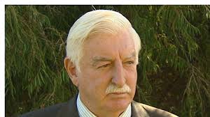 Liberals deny loss of state director is damaging