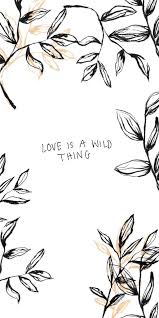 Love Is A Wild Thing Quotes Botanical Flowers Kacey Musgraves Lyrics Beautiful Words Kacey Musgraves