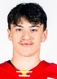 Baie-Comeau Drakkar (QMJHL) Player Register at hockeydb.com