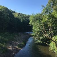 Also including the northern kites project which is one of the northeast of england's most high profile wildlife initiatives. The Derwent Walk Country Park Winlaton Mill