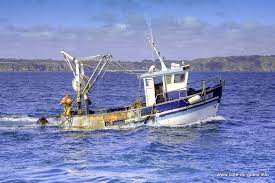 Bateau De Peche Fishing Boats Boat Sailing