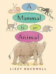 A Mammal Is An Animal Ebook Lizzy Rockwell Amazon In
