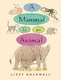 a mammal is an animal ebook lizzy rockwell amazon in