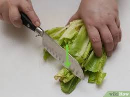 Since vinegar is a natural product, you can use it without fear of allergies, or reactions to harsh chemicals. How To Wash Lettuce 10 Steps With Pictures Wikihow