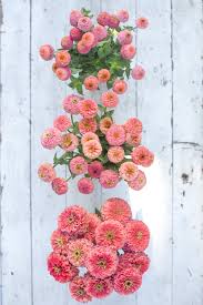 Pin On Bloggers Best Garden Ideas