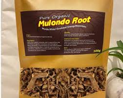 Image result for Mondia ecornuta