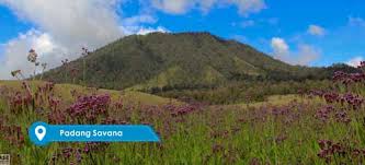 Ternyata sudah tiga bulan aku pindah ke bandung. Open Trip Bromo Midnight Murah 2021 Terlengkap Nahwa Tour