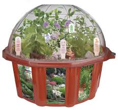Dunecraft Dome Terrariums Bonsai Village Buy Online In Gibraltar Dunecraft Products In Gibraltar See Prices Reviews And Free Delivery Over Gip50 Desertcart