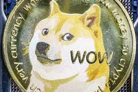 Elon musk thinks we're pretty cool. Doge Wieder In Den Top 10 Cuban Musk Schuren Social Media Flammen