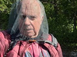 I had a dream a fly perched