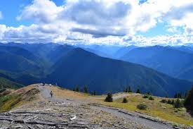 Get the forecast for today, tonight & tomorrow's weather for basking ridge, nj. Hurricane Ridge Guided Hiking Tour Olympic Hiking Co