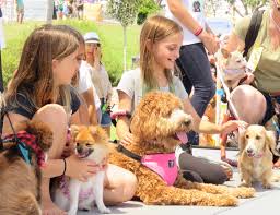 Available now on dc universe infinite. Cardiff Dog Days Of Summer Cardiff 101 Main Street