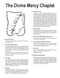 Make the sign of the cross, then say the following prayer: Divine Mercy Novena Saint Michael Parish