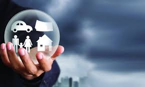 Young professional comparing whole life and term life insurance options