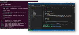 The VS Code Server