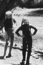 Nellie And Laura Ingalls Family Little House Alison Arngrim