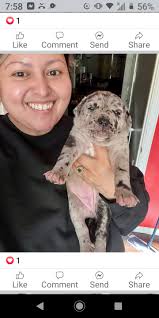 Puppy transportation from Shreveport to Tennessee