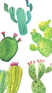 Grow a fantastical garden of your favorite blooms all year long with our gorgeous botanical art. Cactus Watercolor Wallpapers Top Free Cactus Watercolor Backgrounds Wallpaperaccess