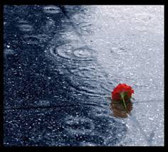 intro em a em a c d em verse 1 em a selebat hujan yang turun mencurah membasahi bumi c d b7 em tidak selebat hujan di dalam jiwaku verse 2 em a sehebat di antara airmata ku. The Journey Of Qie Antara Hujan Dan Air Mata