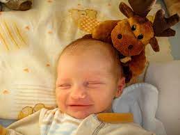 therapie erfolg neurodermitis dinkelmikromehl vollkornmehl fur babys das baby kommt bereits mit einer neurodermitis autism in babies neonatal autism signs