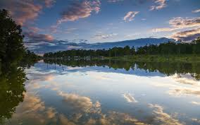 Logan martin lake is located on the coosa river in east central alabama approximately 30 miles (48 km) east of birmingham, alabama. Logan Martin Lake Usa Usa Baume Wasser Reflexion 1920x1200 Hd Hintergrundbilder Hd Bild