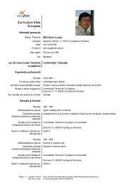 Coach rodica obancea > experienta profesionala. Experienta Profesionala Cv CasÄƒ La È›arÄƒ Pentru O Familie