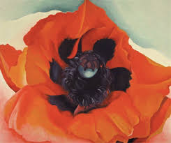 Georgia o'keeffe to be celebrated at lake george women's center. Georgia O Keeffe P Em Poppy Em P Museum Of Fine Arts St Petersburg