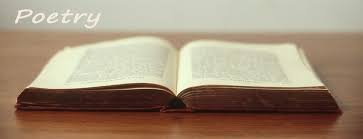 Resultado de imagen para poema en libros fotos