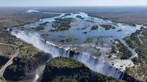 Image result for Sorindeia rhodesica