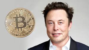 Technoking of tesla, imperator of mars. Elon Musks Kryptischer Tweet Tesla Vermogen Kunftig In Bitcoin Wirtschaft Bild De