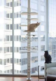 Floor To Ceiling Towers Cat Hotel Cat Playground Outdoor Cat Towers