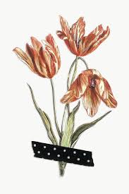 Pin On Cuaderno