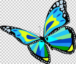 Monarch butterfly insect, watercolor butterfly transparent background png clipart. Monarch Butterfly Flight Png Clipart Artwork Brush Footed Butterfly Butterfly Cartoon Download Free Png Download