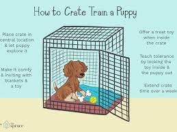 If you have a new dog or puppy, you can use the crate to limit his access to the house until he learns all the house rules, such as what he can and can't chew and where he can and can't eliminate. Crate Training Your Dog