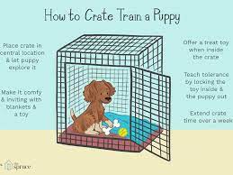 If you're potty training, traveling or just looking for a safe place for your puppy to. Crate Training Your Puppy