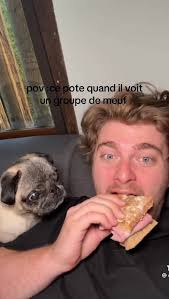 pov c'est moi #pourtoi #albert #chien #pote #meuf